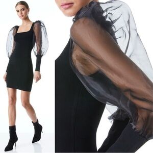 Alice + Olivia - Abella Puff-Sleeve Square Neck Knit Dress Size Medium Black